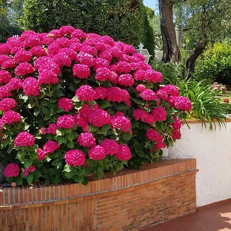 Вилла Casa Vittoria Corsanico-Bargecchia