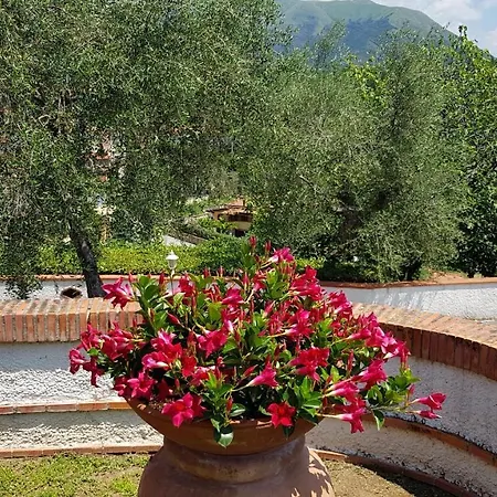 Casa Vittoria Corsanico-Bargecchia