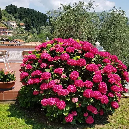 Casa Vittoria * Corsanico-Bargecchia