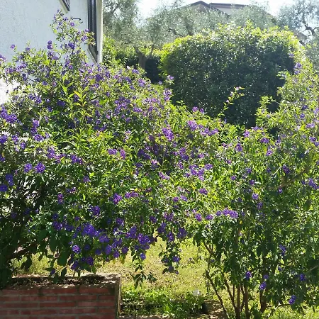 Casa Vittoria Villa *